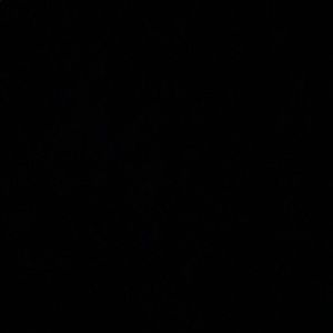 Meet your Posher, Donette